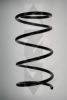 SPIDAN 56337 Coil Spring